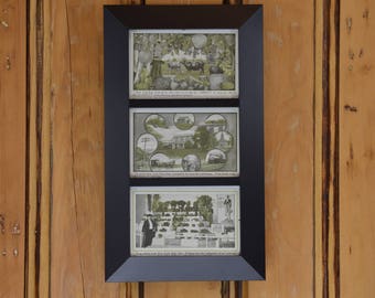 New York State Farming Postcard Trio