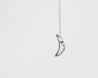 Terrarium crescent . Terrarium necklace. Mother's Day Jewelry. Pressed flowers necklace. Hanging terrarium. Botanical jewelry.