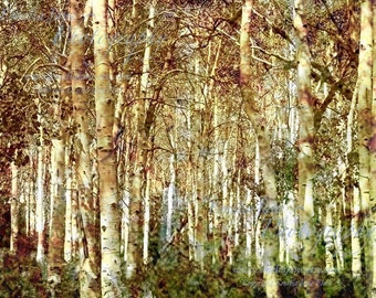 Venture Further-Fine Art Print
