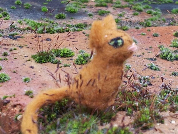 Tiny Ginger Cat miniature cat felt cat plush tiny cat