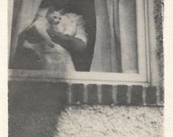 Vintage Snapshot "Kitty In The Window" Faceless Woman Holds White Cat Found Vernacular Photo