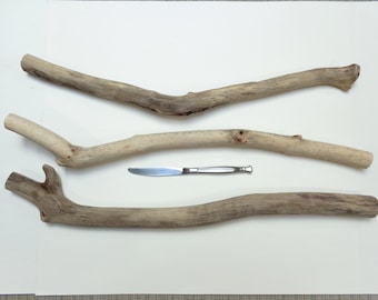 Driftwood pieces from Lake Erie - Driftwood supply - Long driftwood - Bulk driftwood - Large driftwood - Driftwood for arts and crafts