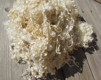 Hand washed Wensleydale Locks Natural lamb wool - 2 oz