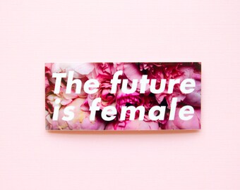 Feminist Vinyl Sticker The Future is Female- 3 inches/ 6 inches Illustrated Weatherproof Laptop Stickers Planner Stickers Journal Stickers