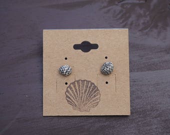 Nurite seashell earrings