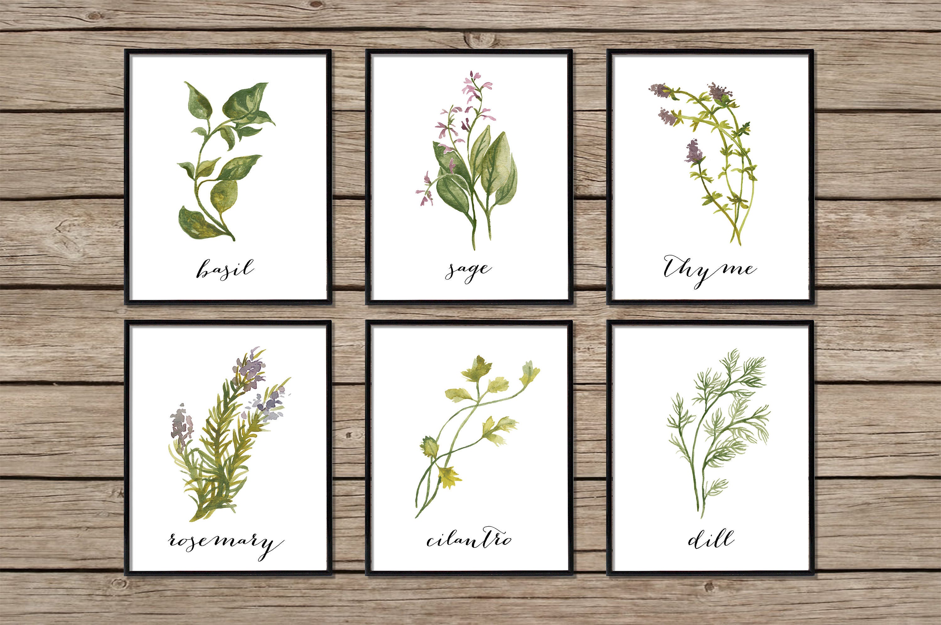 Herb Print Set Botanical Print Set Botanical Prints Herb