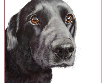 Fine Art Black Lab Greetings Card