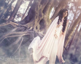 Lining for Cinderella wedding cape, alternative wedding cape, romantic wedding cloak, hooded cape, fairytale cape, fairy tale wedding custom