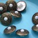 BUTTONS! 9 pearl buttons with a bronze cover and shank back - Craft Buttons - Sewing buttons - shirt buttons - vintage buttons