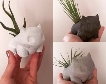concrete bulbasaur planter-concrere Pokemon planter-airplant holder-House plant-cactus holder-succulent holder air plant holder-house plant