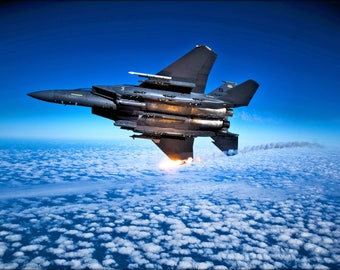Poster, Many Sizes Available; 335Th Fighter Squadron F 15E Eagle