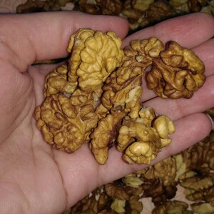 150 gr/ Shelled Walnuts/ Organic product/ Organic and Natural Walnut