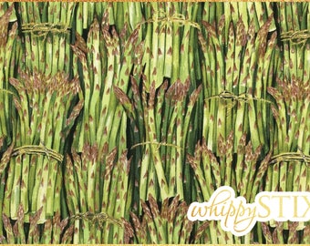 Vegetable Fabric By the Yard, Cook Asparagus by The Henley Studio Makower UK 812, BTY Food Greens Veggies Cotton Quilting Material