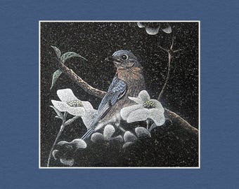 Blue Bird Matted Print By Stan White