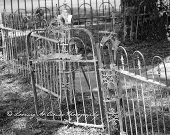 wrought iron garden gate and fence art photo, black and white photography, vintage garden decor, shabby cottage chic
