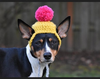 Dog beanie with pom pom / dog hat / crocheted dog hat / dog gift