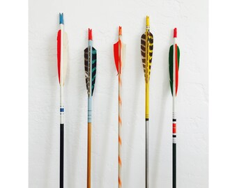 Pre Selected Vintage Arrows / Feather Tops / Set of 5