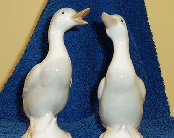 Two Little Ducks (Quack Quack)