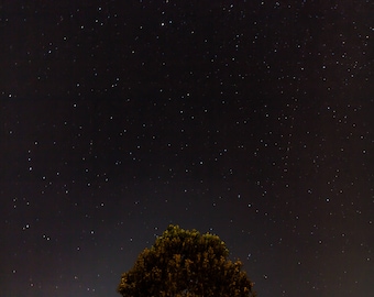 Night Stars Instant Download