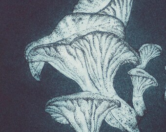 Glow - original hand pulled etching of forest fungi in dark blue ink.