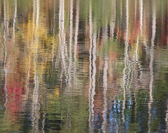 Lakeside Reflection, Trees Reflected in Water, Abstract Art, Peaceful Photograph, Forest Reflection, White Trees, Water Ripples, Fine Art