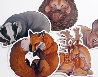 Sleepy woodland sticker pack - 5 vinyl animal stickers
