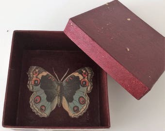 Storage Box - Vintage Butterflies Paper Collage (Burgundy)