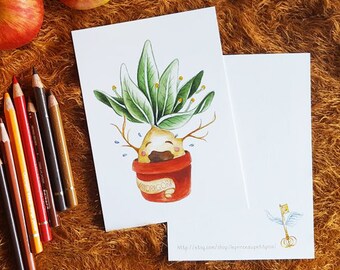 Mandragora - carte A6 - Harry Potter