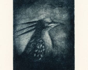 Bird Crest, Mezzotint engraving