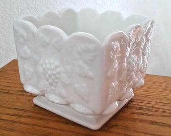 Vintage Westmoreland Milk Glass Planter Vase Paneled Grape White Square Footed 4.5"