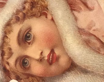 Vintage winterland girl with pink roses die cut