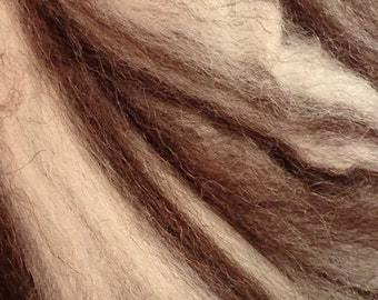 BFL Wool 8oz Mulit Color Spinning Fiber Felting Fiber
