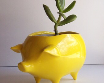 Pig Planter Succulent Planter Ceramic Planter Vintage Design Lemon Yellow, Retro, Sponge Holder Kitchen Home Decor Garden Cactus pot