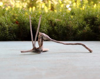 Surf Tumbled Driftwood Sculpture , Natural Art , Beach Decoration , Drift Wood Art , Nature Made Artwork