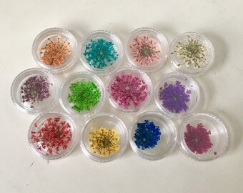 SALE - 1 Tray of 12 Different REAL Organic Dried Flowers for Nail Art and Crafting, Dry Flowers, Nail Flowers, Nail Art (C1-21)