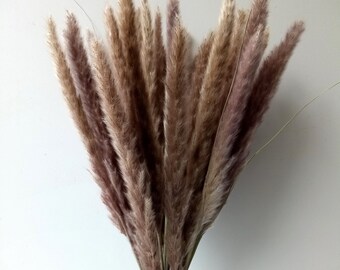 Natural Dried Pampas Grass, Phragmites Communis,Wedding Flower Bunch, 24” Tall for Home Decor
