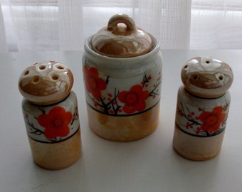Asian Inspired Tiny Salt and Pepper Shakers and Condiment Server