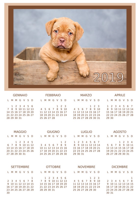calendario cagnolino