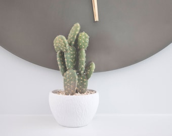 Cactus, Artificial Cactus, Cactus Pot, Fake Plants, Gift idea, for Home Decor, Wedding Favors and More