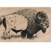 Rubber stamp buffalo bison animal stamping supplies scrapbooking supplies 10530