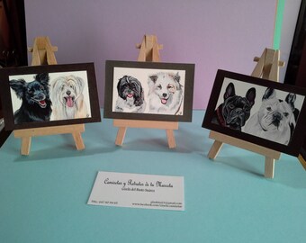 Custom miniature petportrair from your photo