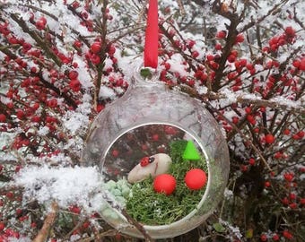 Fairy Garden Terrarium Kit