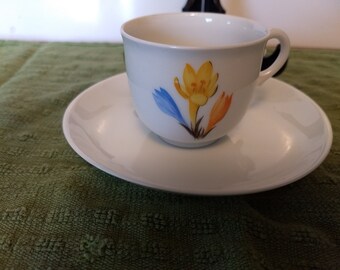 Nymphenburg Demitasse cup and saucer