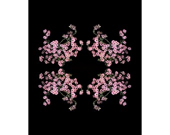 Limited Edition Fine Art Print-Flowers-Floral-Florography-Modern Art-Pink-Black-Flower-Abstract-Nature-Minimalist-Minimal-Interior Design