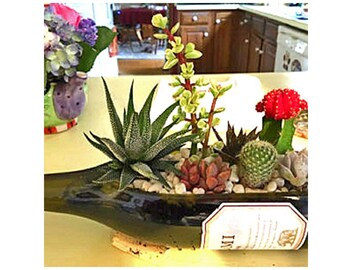 SALE! - Wine Bottle Planter (no plants) / Gift For Her / Wine Gifts / Wine Bottle Decor / Indoor Planters / Indoor Plants Succulent Planter