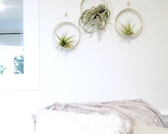 Airplant Ring Cradle Sling Hanging Planter Display for Air Plant MADE TO ORDER