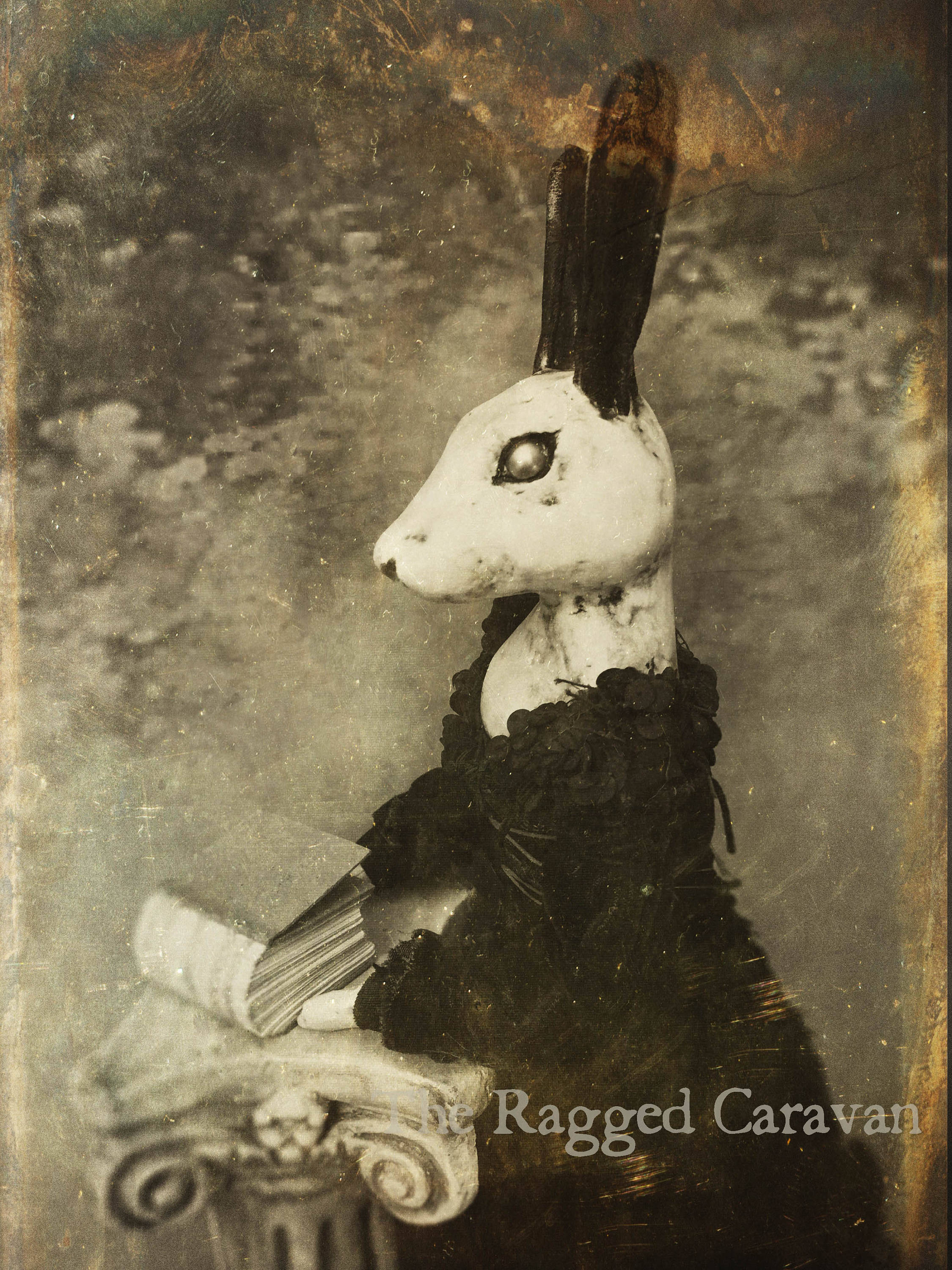 Victorian gothic rabbit print gothic art rabbit art