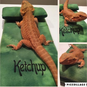 Bearded Dragon Bed Reptile Bed Ubby Bed