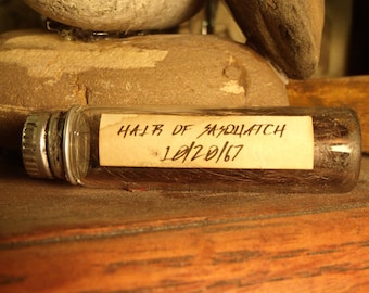 Sasquatch hair preserved in glass
