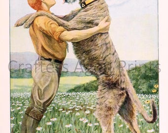 Irish Wolfhound illustration by Louis Agassiz Fuertes from a Vintage 1927 Book Page
